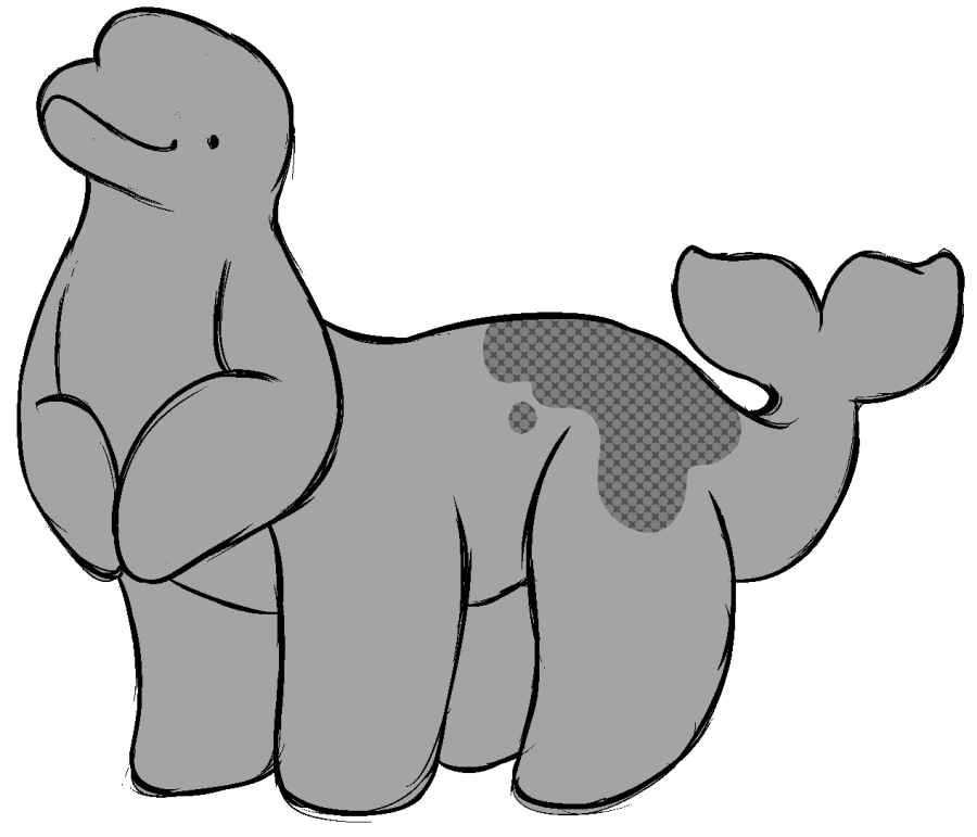 beluga.png