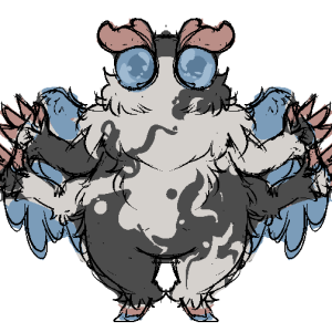 nova.png