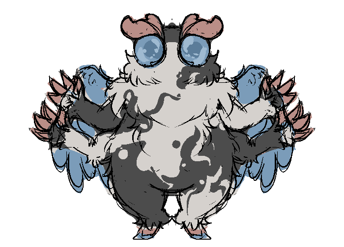nova.png