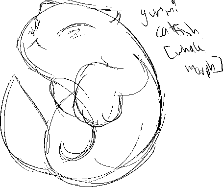 whale_catfish.png