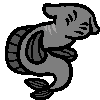 fish_mini.png