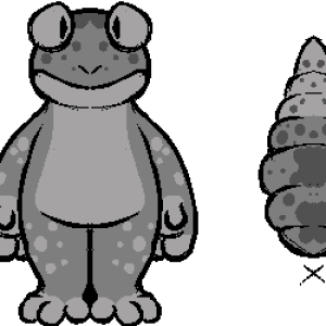 gecko.png