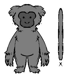 monkey.png