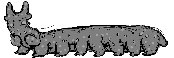 velvet_worm.png