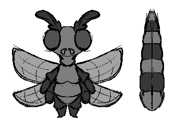 dragonfly.png
