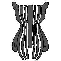 barcode.png