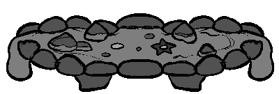 tidepool.png