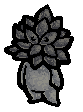 succulent.png